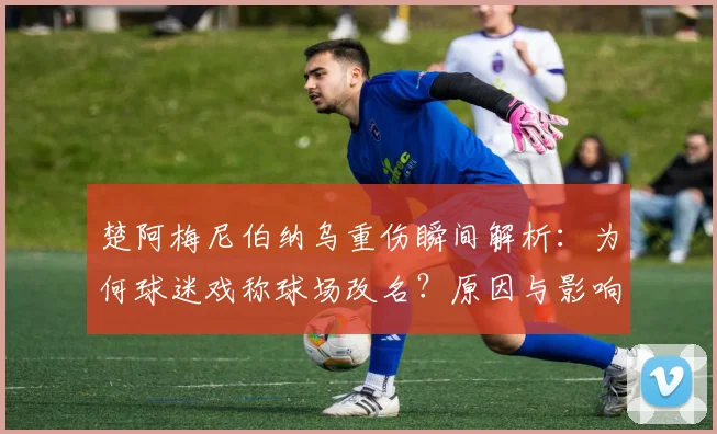 楚阿梅尼伯纳乌重伤瞬间解析：为何球迷戏称球场改名？原因与影响全解读