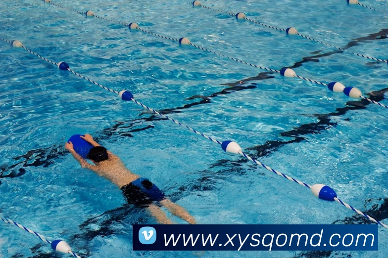平台展示图